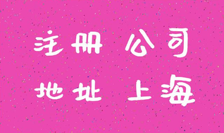 上海注冊公司成功后怎么進行查詢？